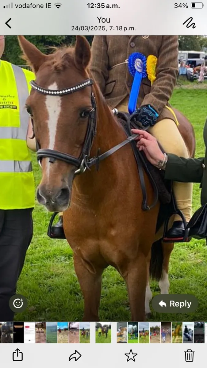 12.2 U10 Pony - Image 4