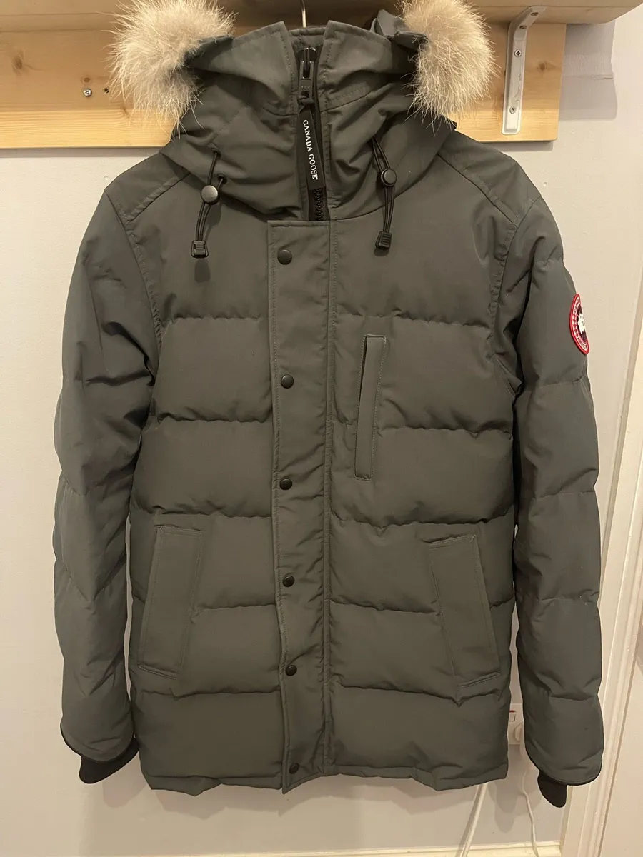 Canada goose Carson - Image 1