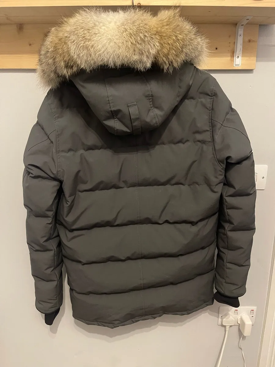 Canada goose Carson - Image 2