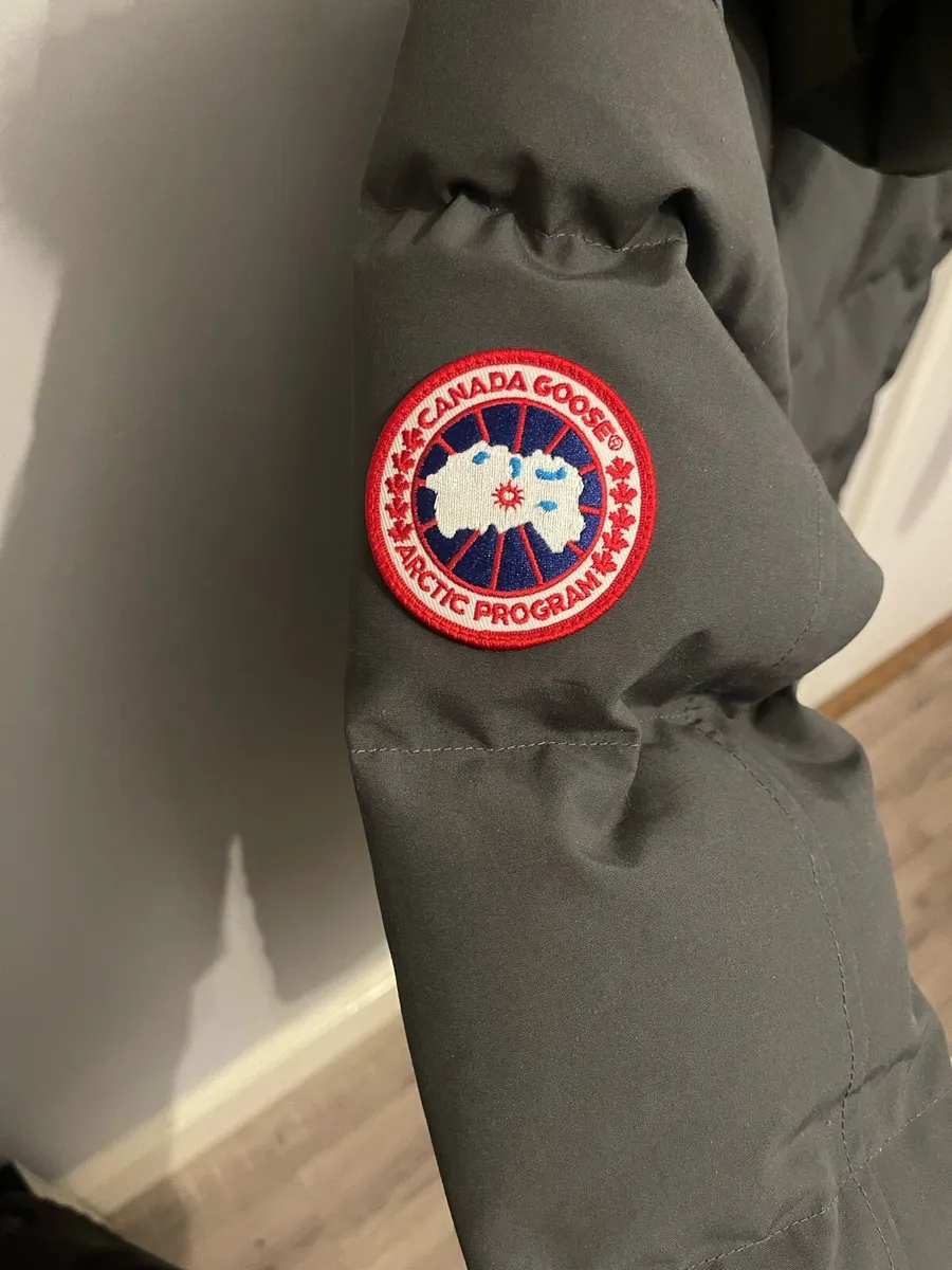 Canada goose Carson - Image 4