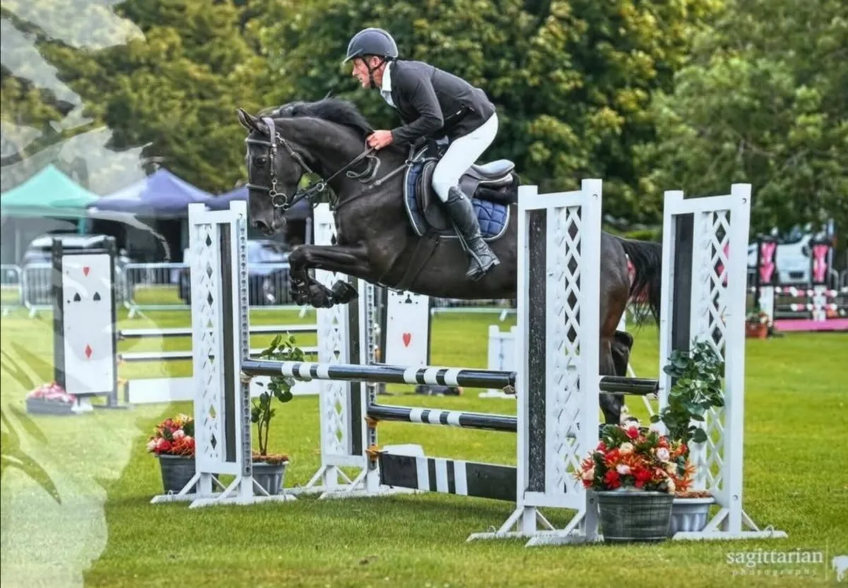 Competition/eventer - Image 1