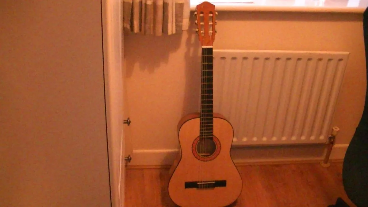 Eleca Guitar - Image 1