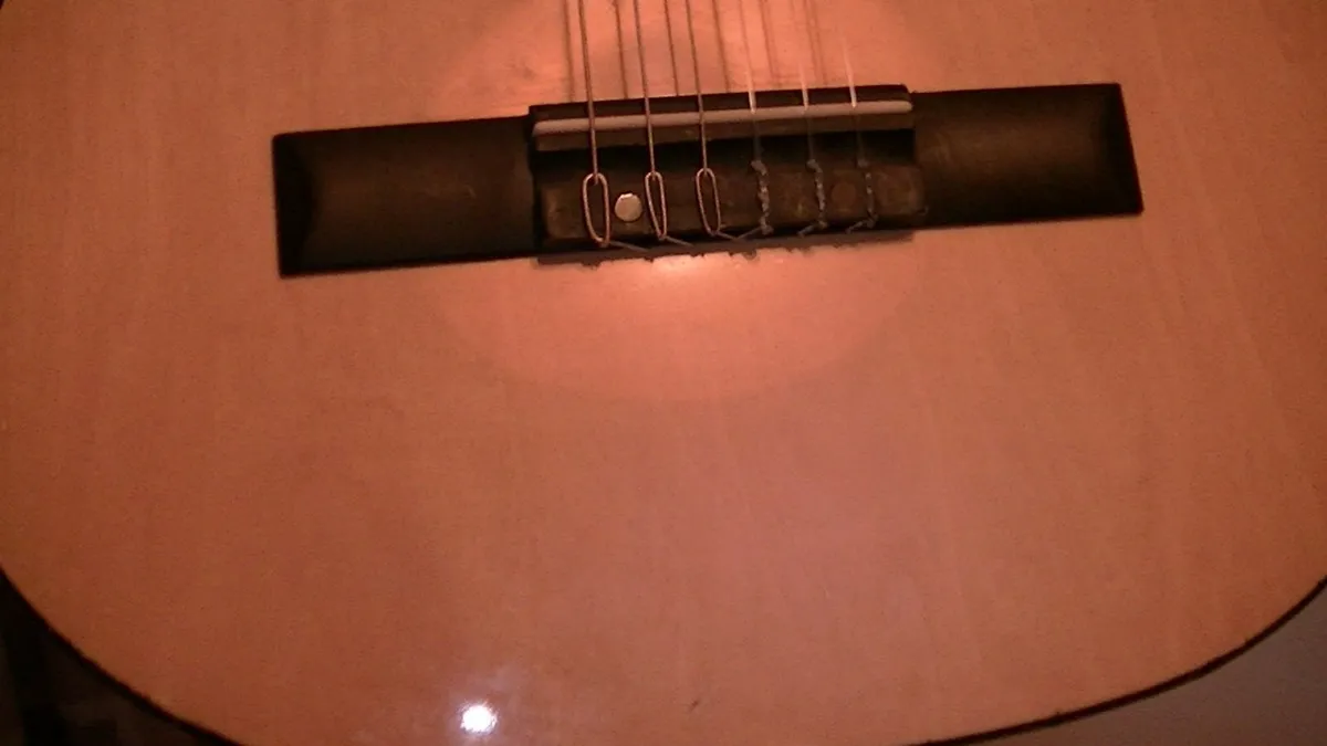 Eleca Guitar - Image 3