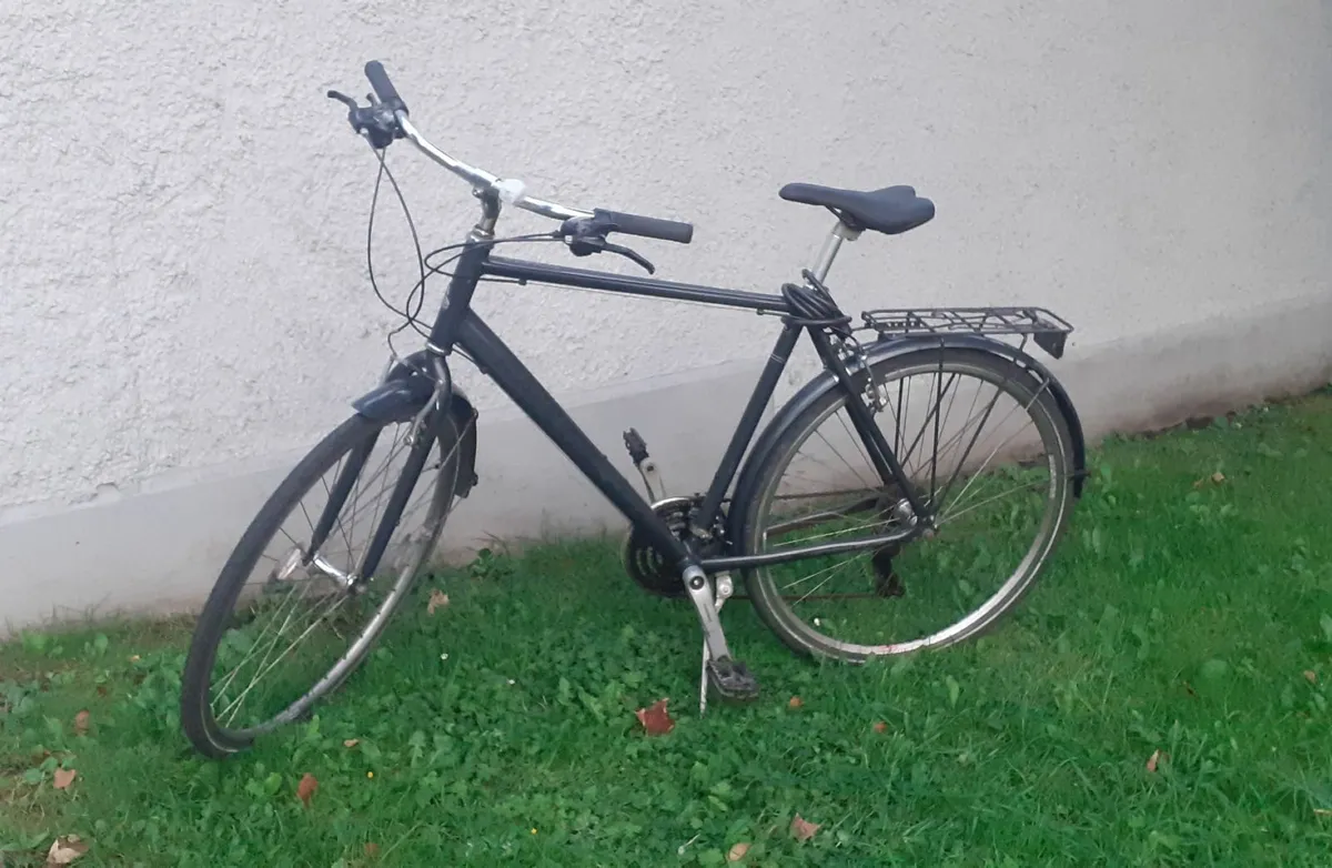 Bike Raleigh Pioneer + Workstand+Pump+Lights+Lock - Image 4