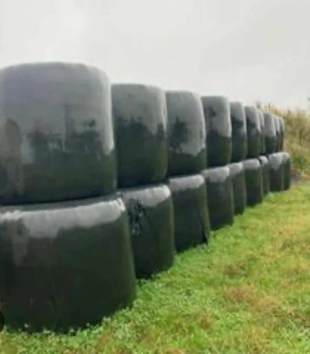 Haylage - Image 1