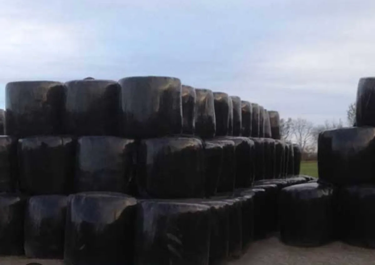 Haylage - Image 3
