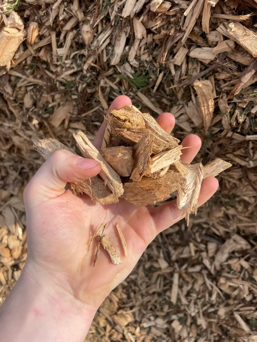 Mulch - Image 2