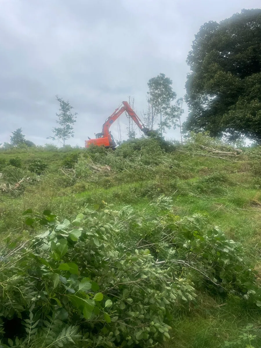 Digger hire - Image 1