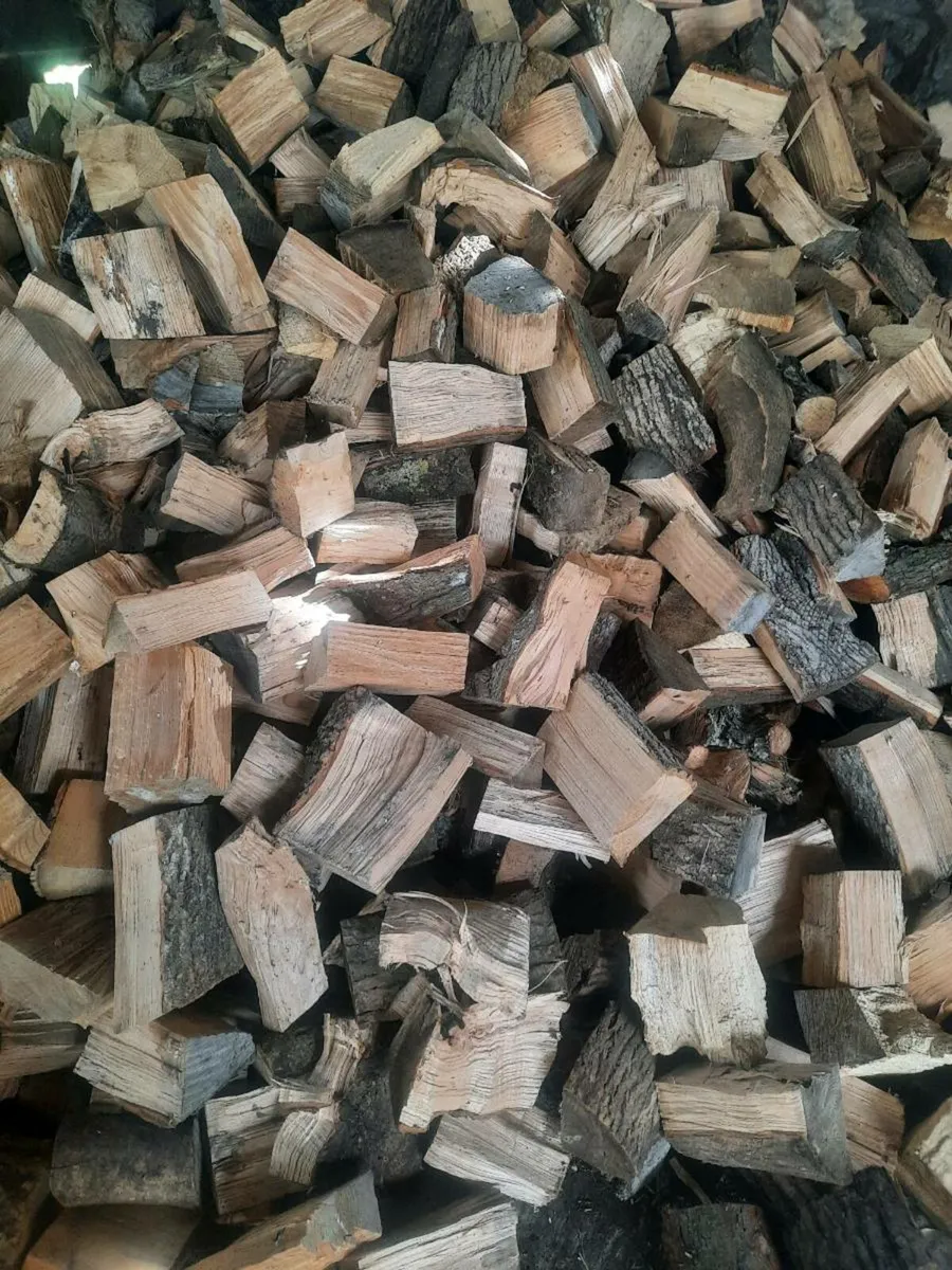 Firewood - Image 1