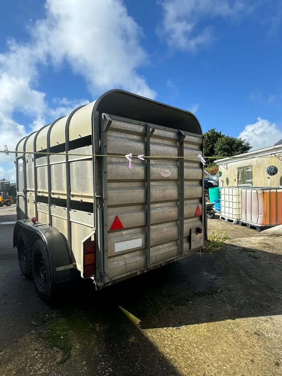 Cattle trailer 10x6 - Image 1