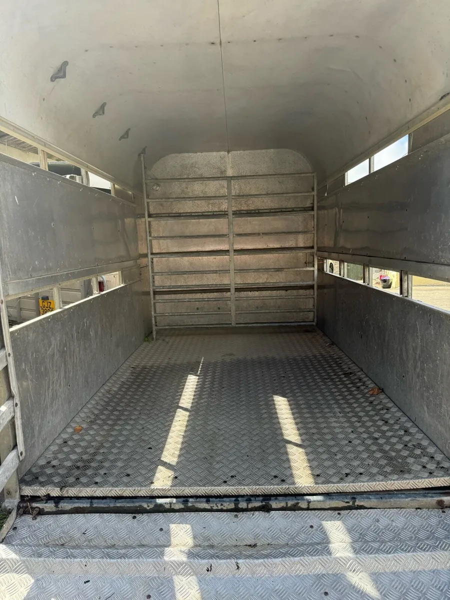 Cattle trailer 10x6 - Image 3