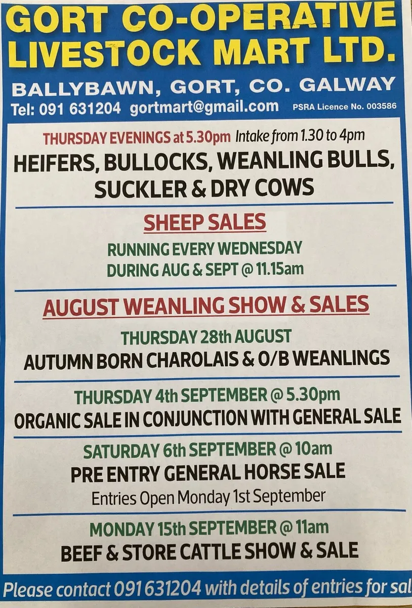 Gort Mart: Pre entry General Horse Sale: 6th Sept - Image 2