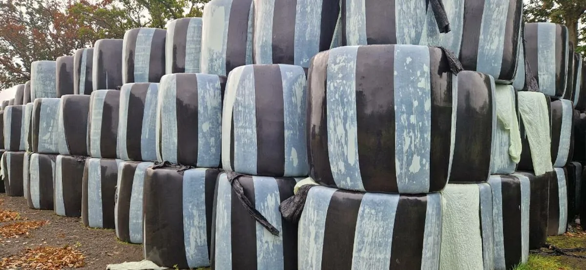 Haylage Unchopped Double Wrapped Barrel Wrapped - Image 2