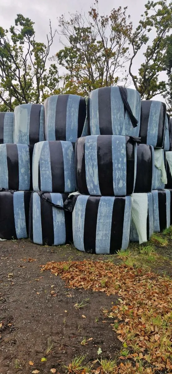 Haylage Unchopped Double Wrapped Barrel Wrapped - Image 1