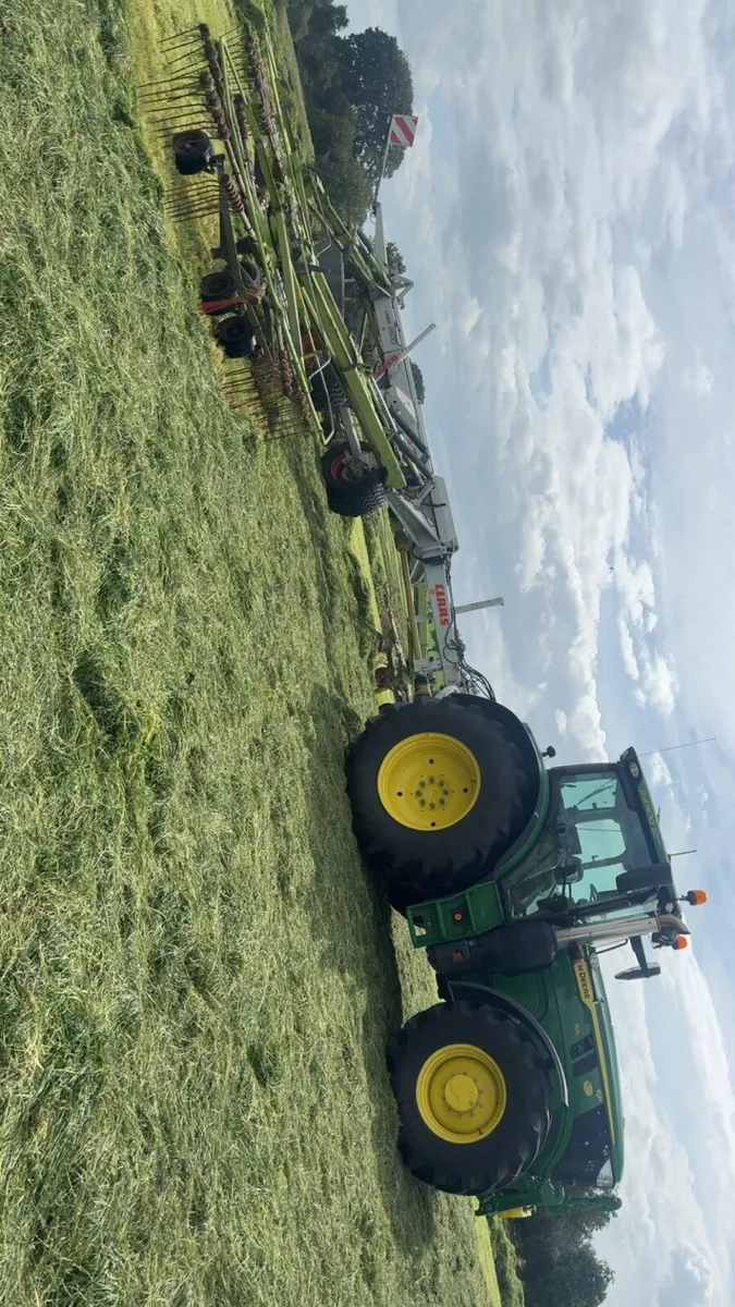 Pit silage - Image 3