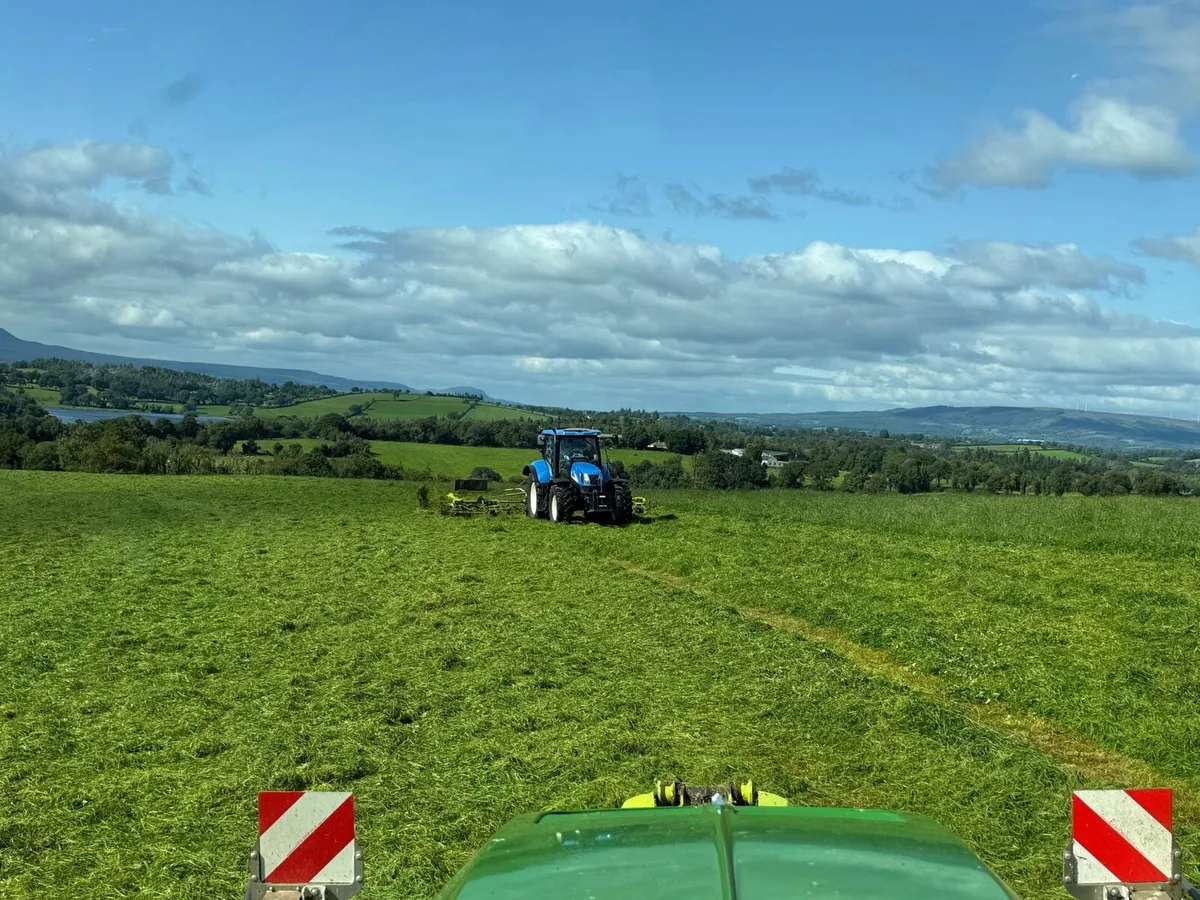 Pit silage - Image 4