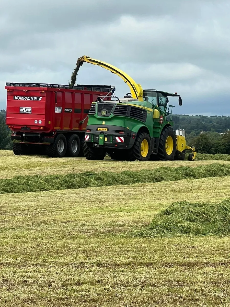 Pit silage - Image 1