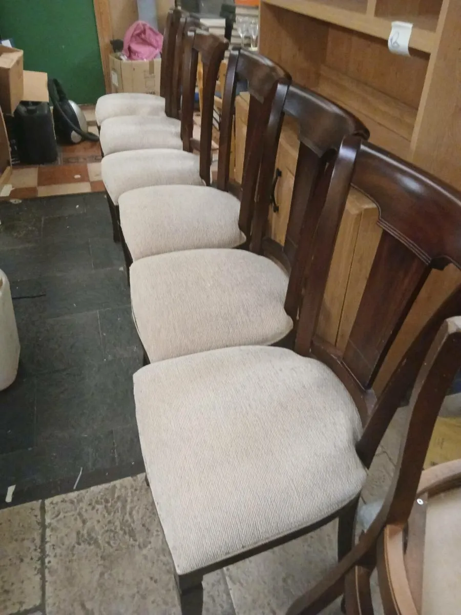 Dining Chairs - Image 1