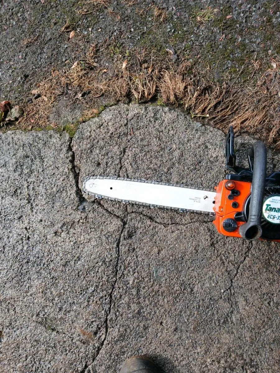 Chainsaw - Image 2