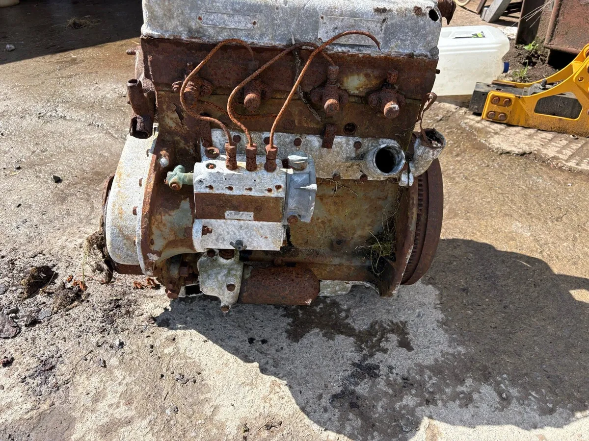 Ferguson 20 engine