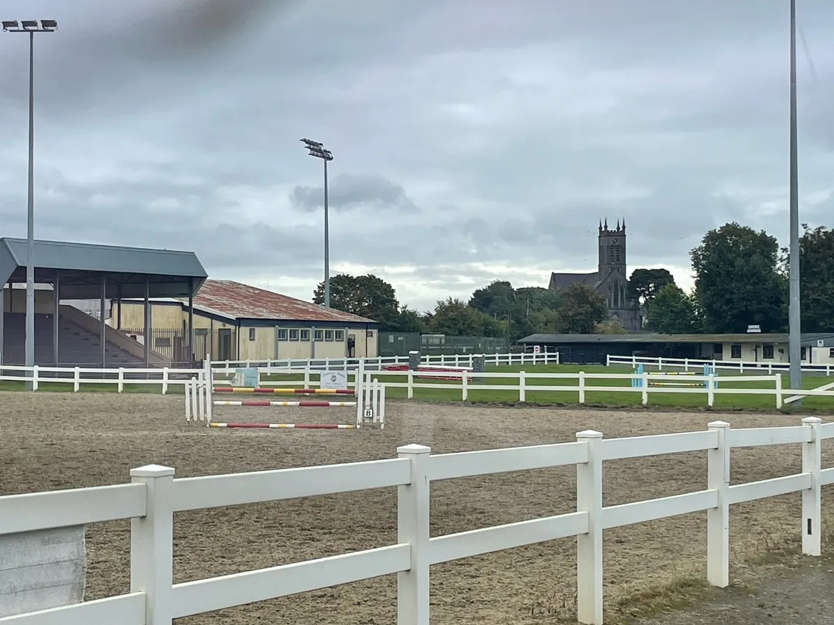 Horses - Image 3