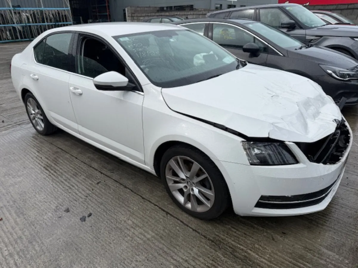 2019 SKODA OCTAVIA - Image 1