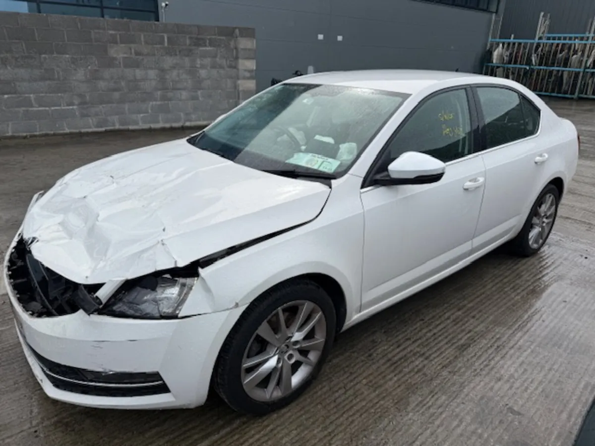 2019 SKODA OCTAVIA - Image 2