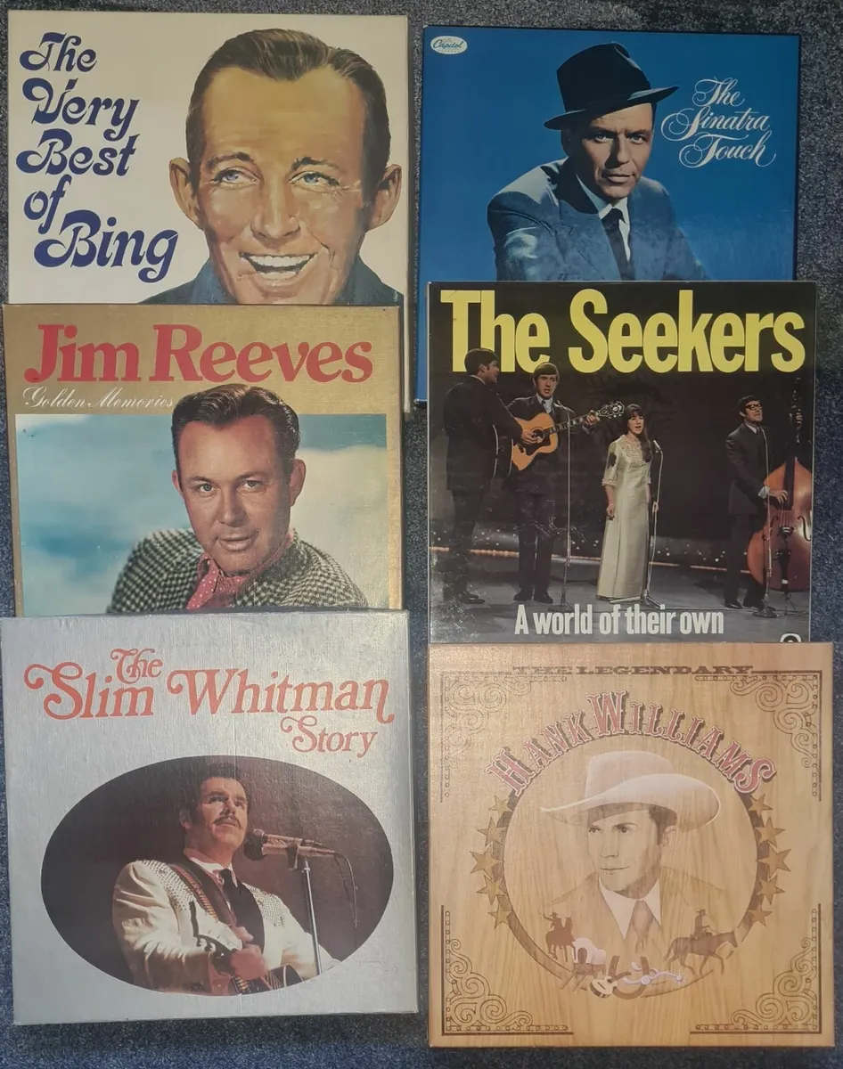 Vinyl Records and Record Player - Image 1