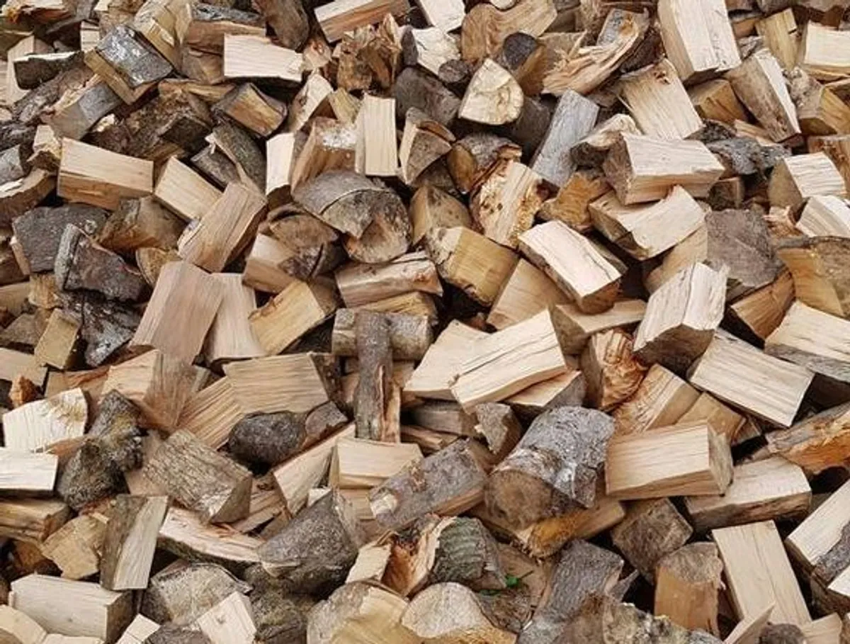Quality Firewood Bagged & Ready - Image 4