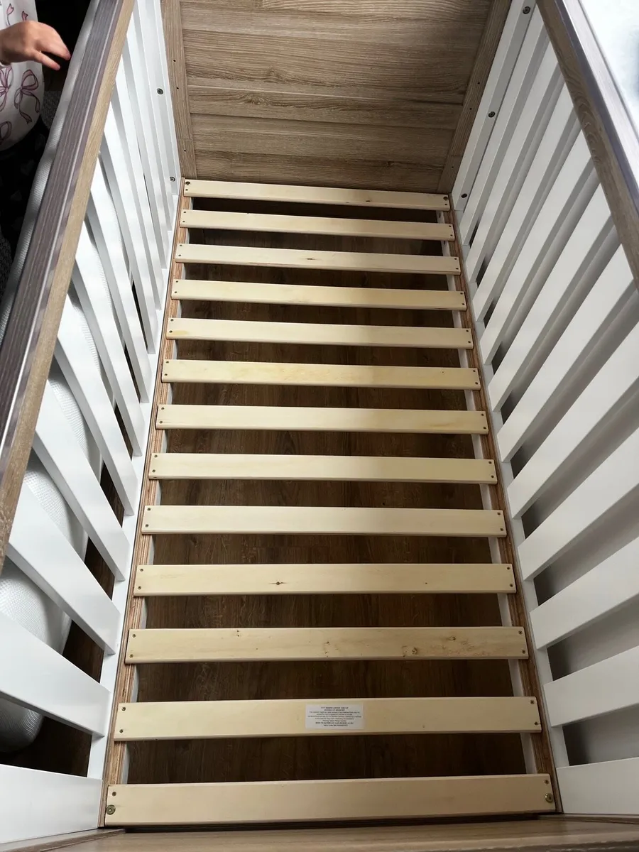 Cot - Image 3