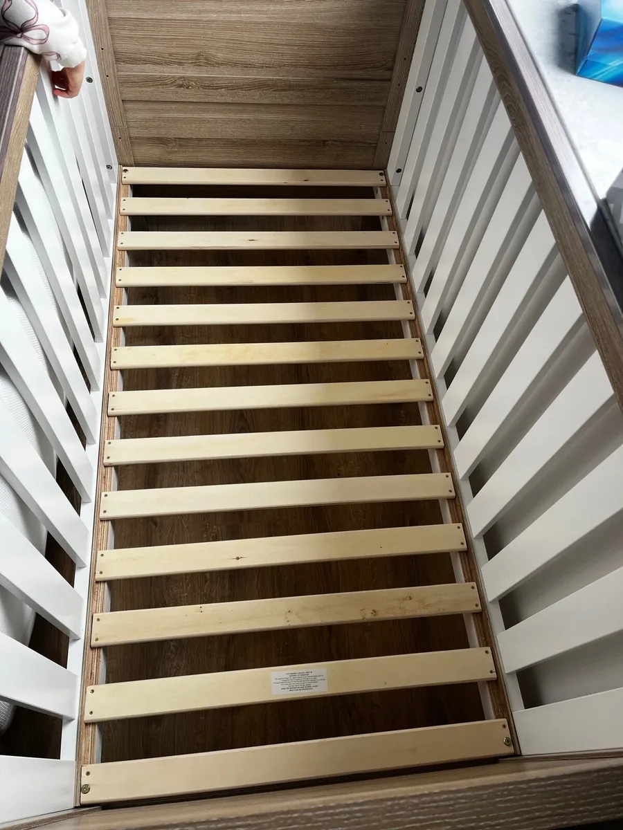 Cot - Image 4