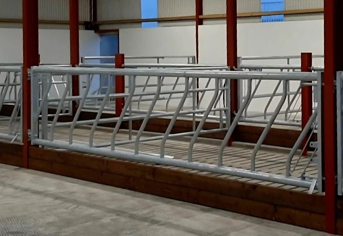 Cattle Feed barriers - Image 3
