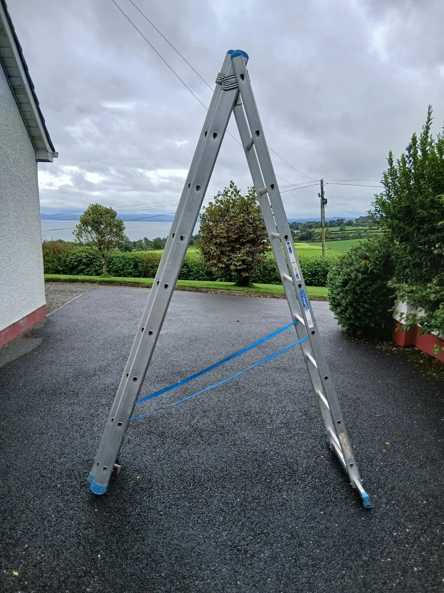 LADDERS - Image 1