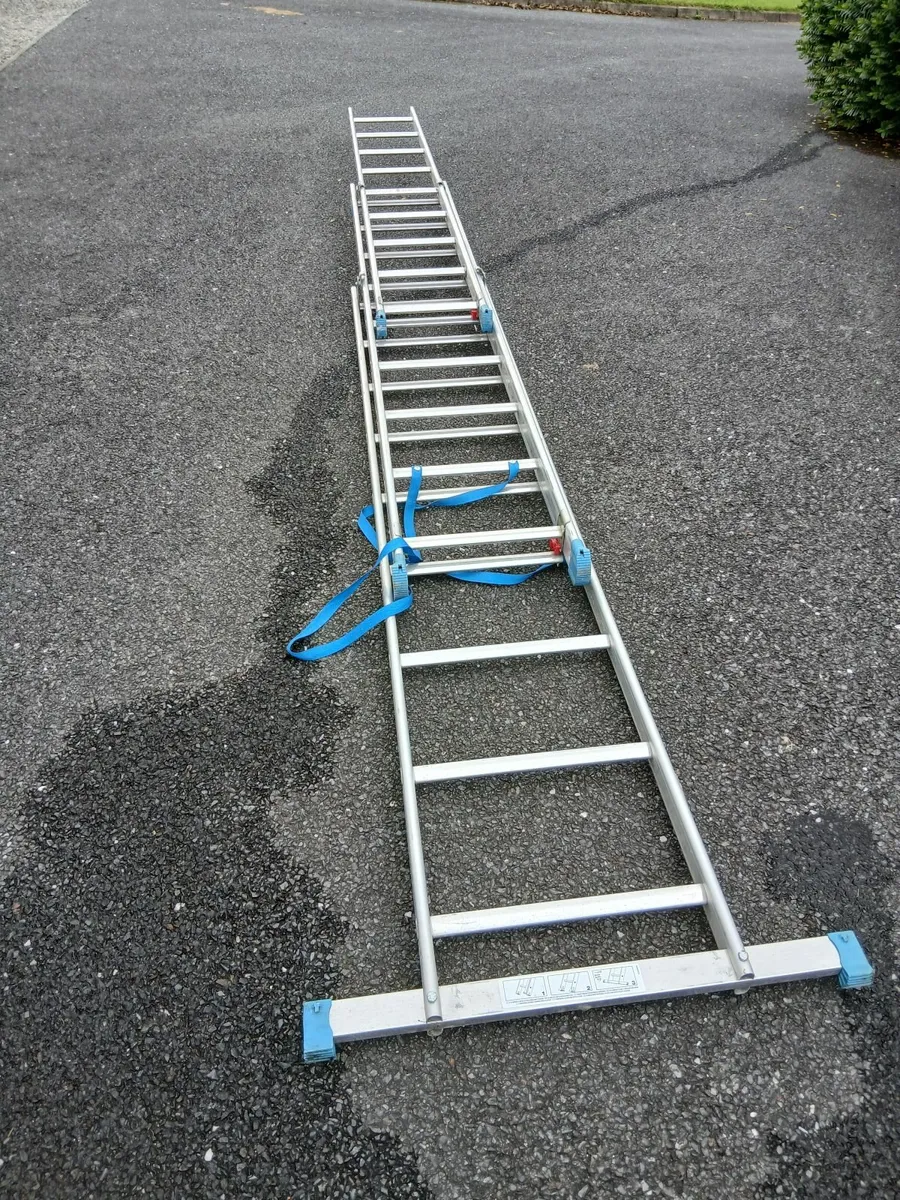 LADDERS - Image 4