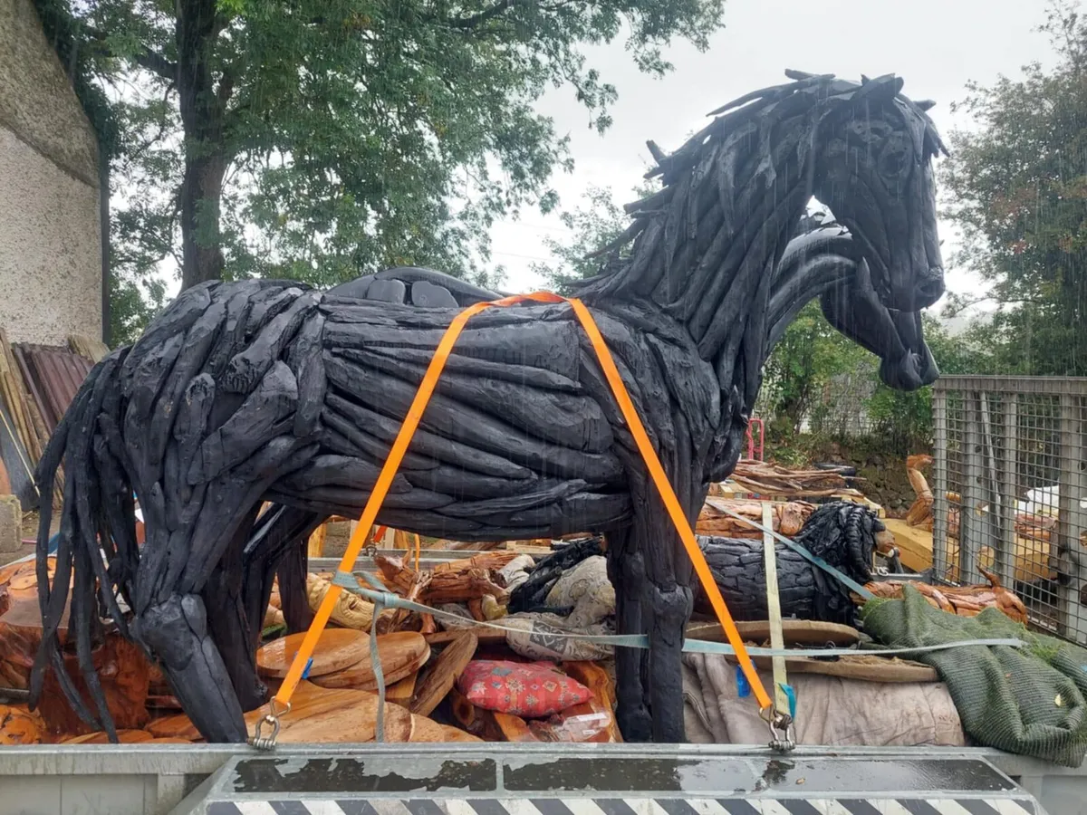 3 x 15 hands Teak Horses for sale at greatly reduc - Image 2