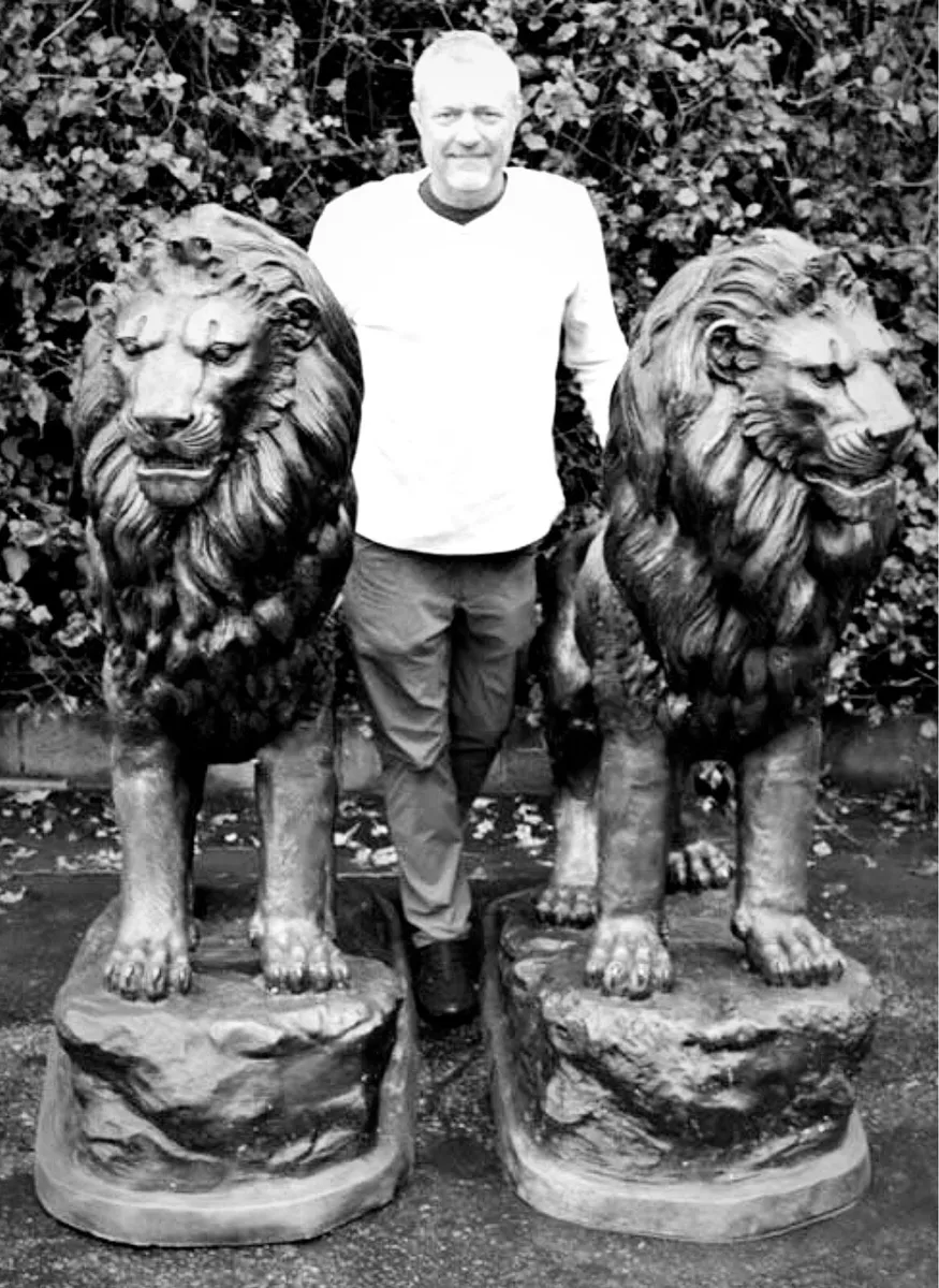 Pair bronze lions - Image 2