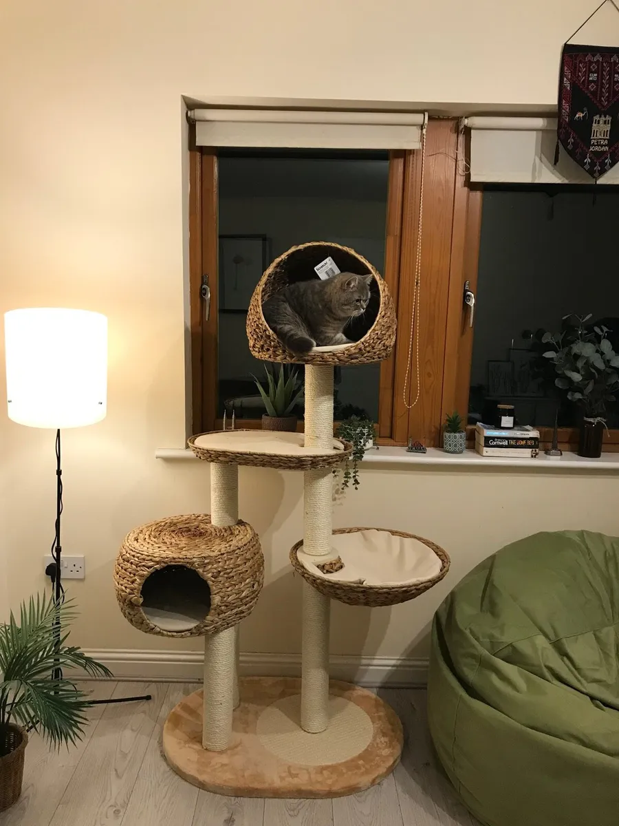 Cat tree - Image 1