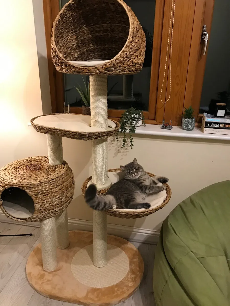 Cat tree - Image 2