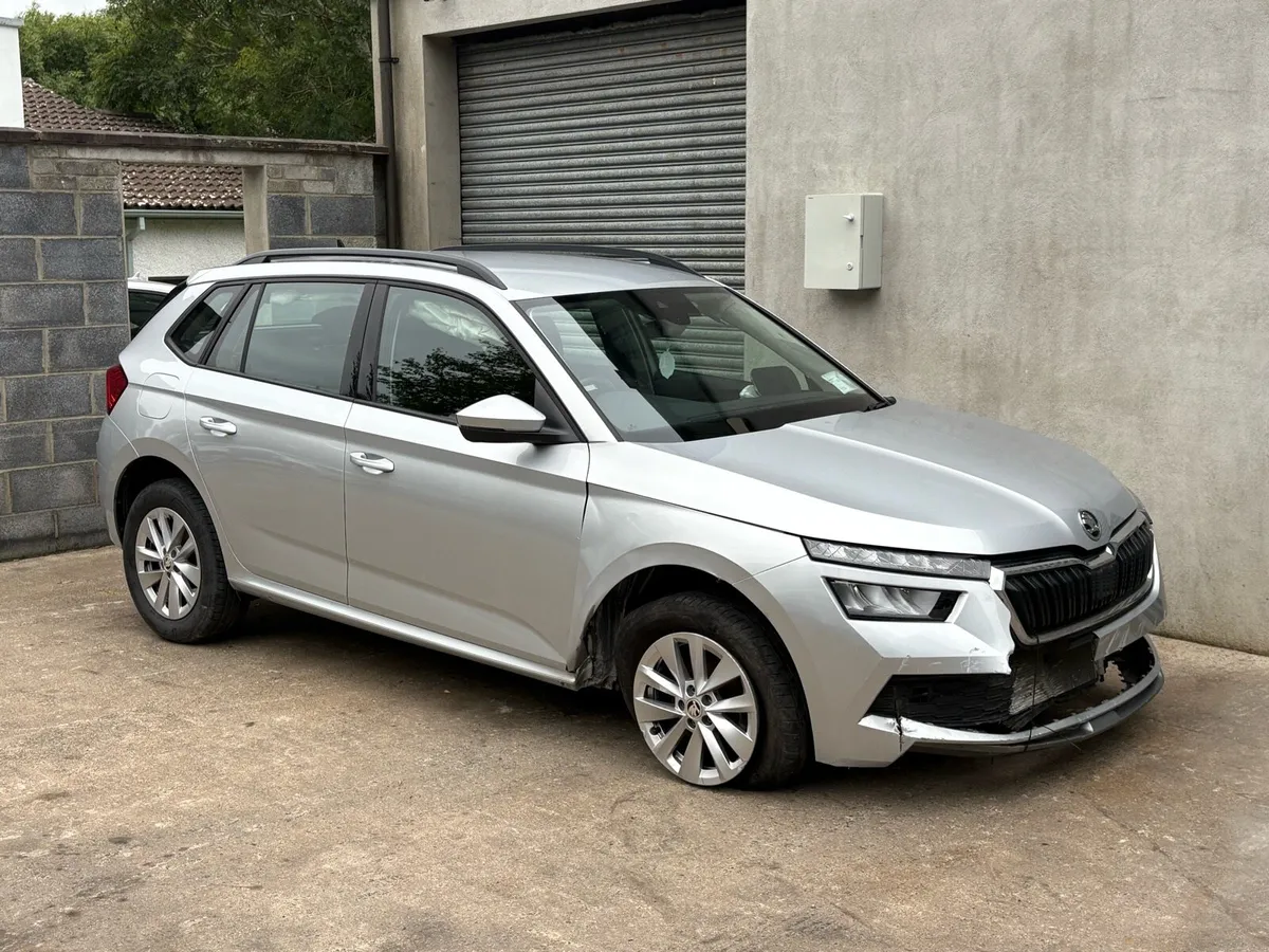 231 SKODA KAMIQ - Image 1