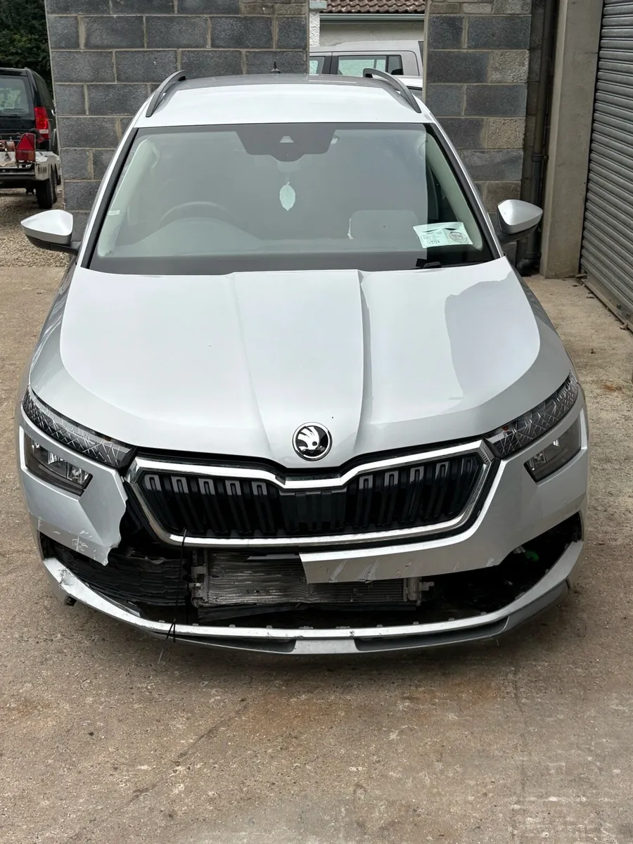 231 SKODA KAMIQ - Image 2