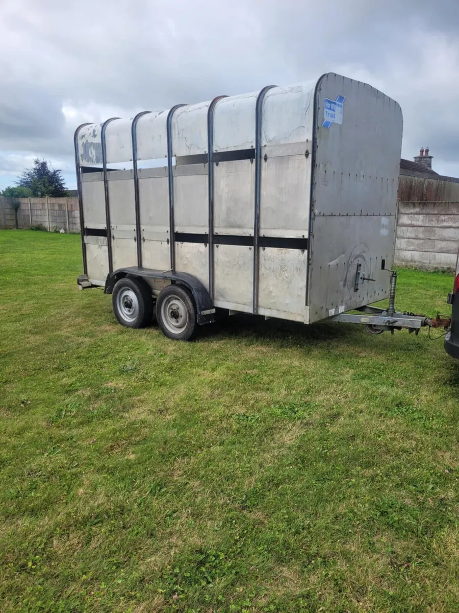 Ifor Williams cattle/horse trailer 12x6 - Image 1