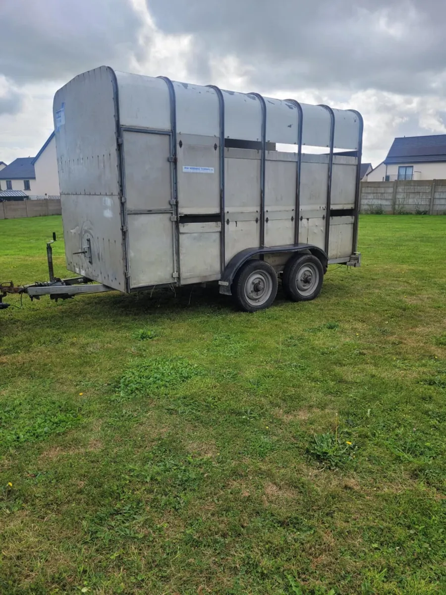 Ifor Williams cattle/horse trailer 12x6 - Image 2