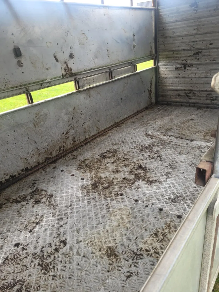 Ifor Williams cattle/horse trailer 12x6 - Image 3