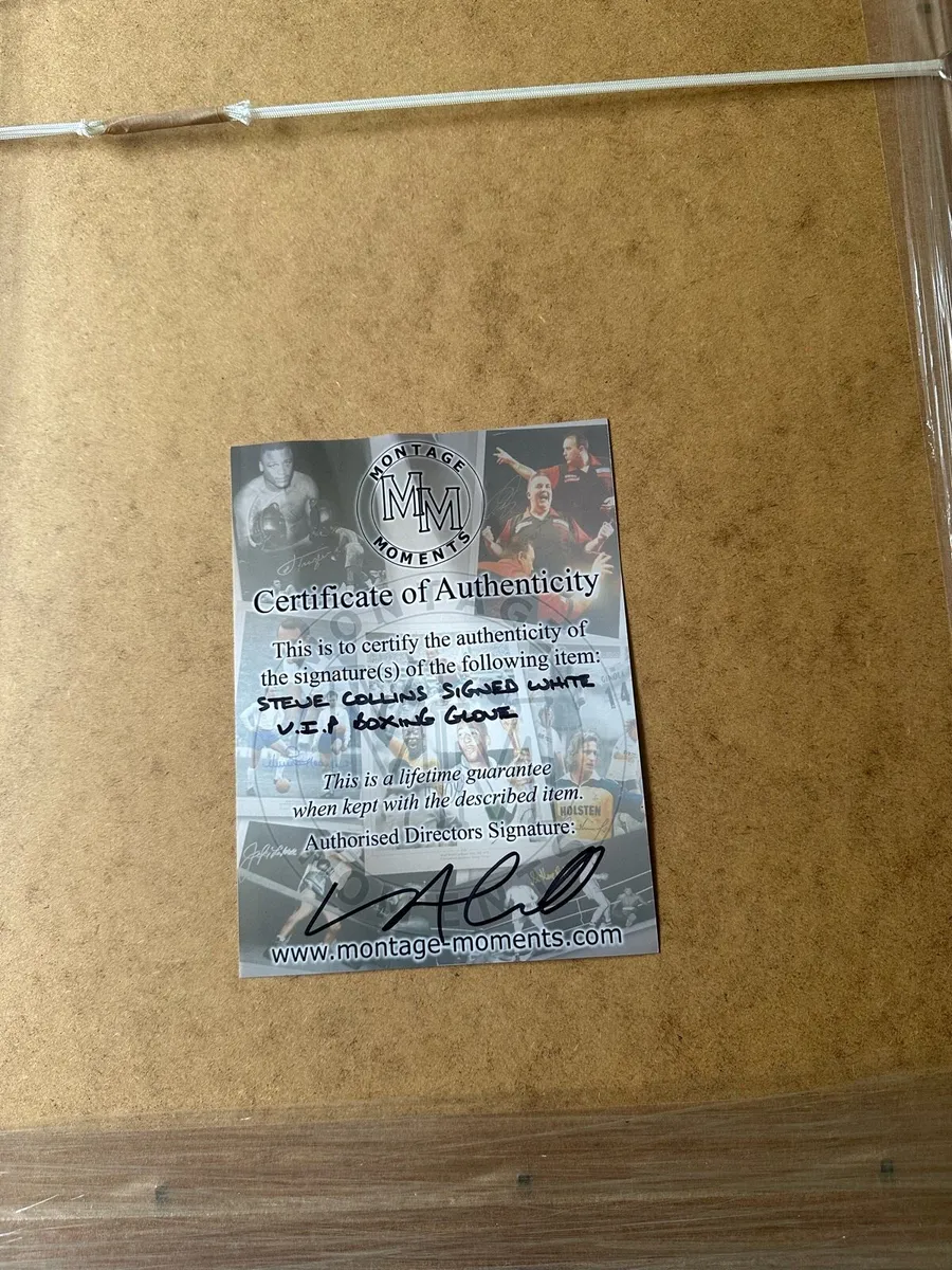 Steve Collins glove - Image 2