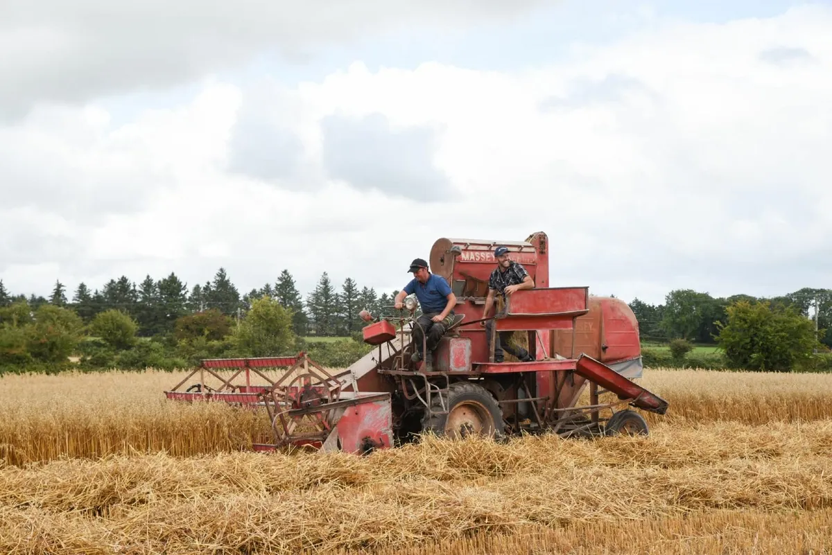 Autumn Harvest - Image 3
