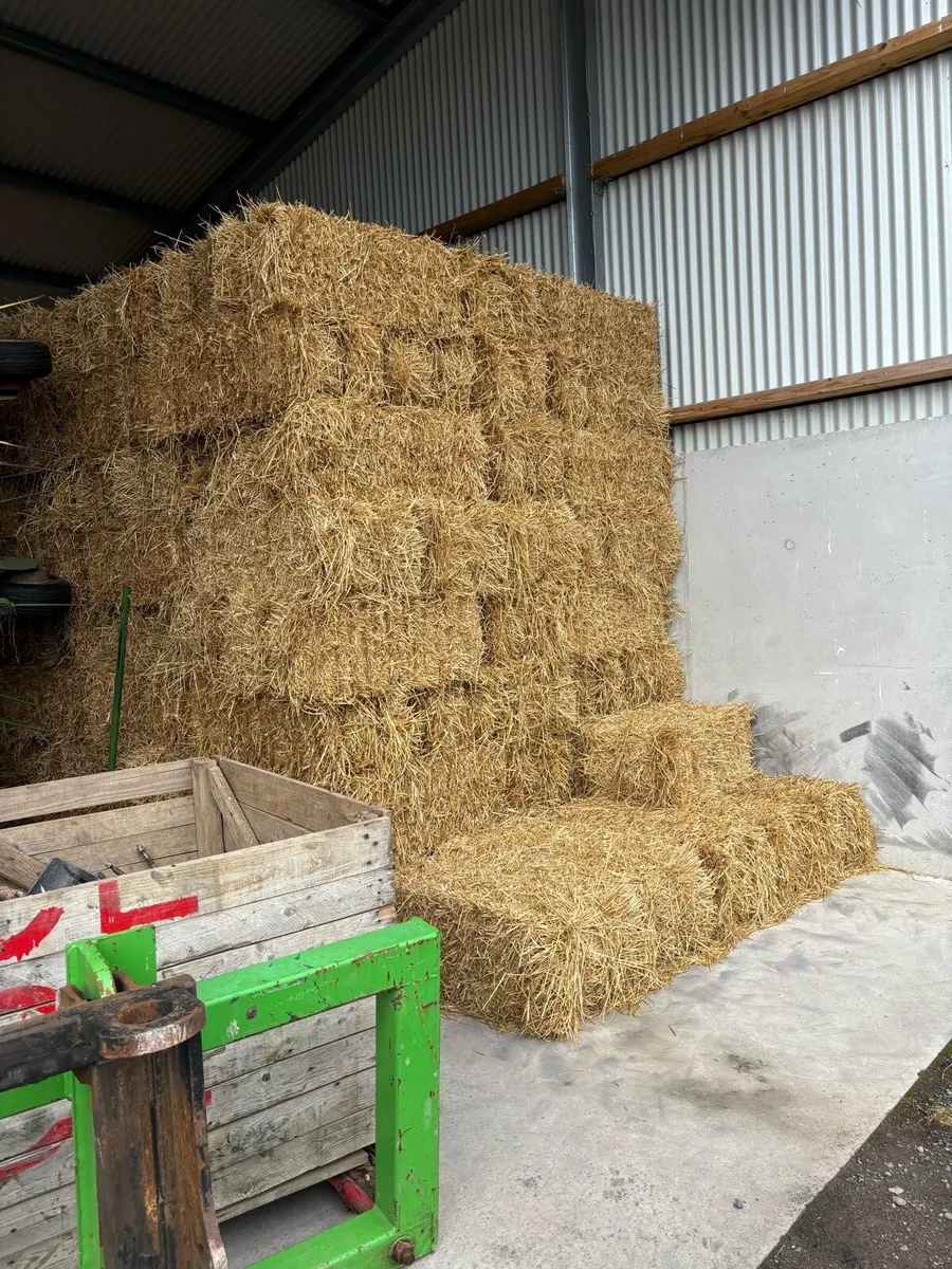 Small squares of straw - Image 1