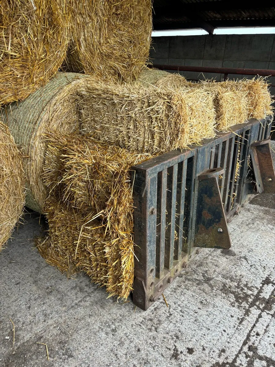 Small squares of straw - Image 2