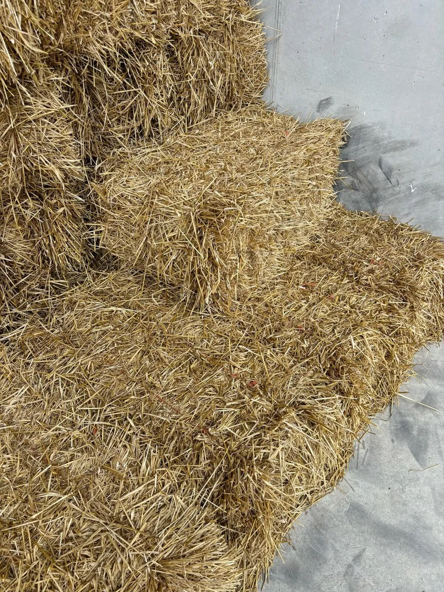 Small squares of straw - Image 4