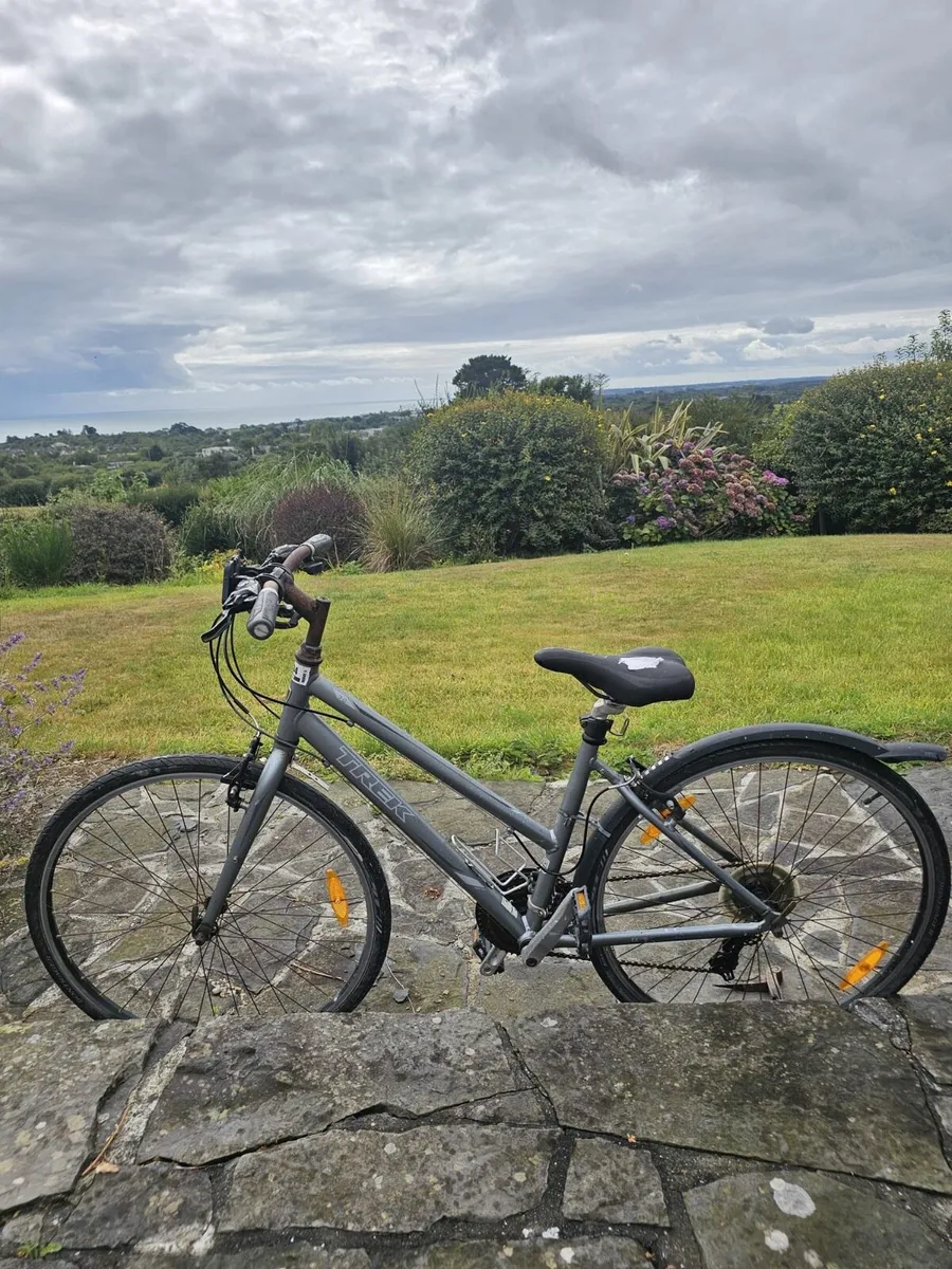 Ladies Bike - Image 1