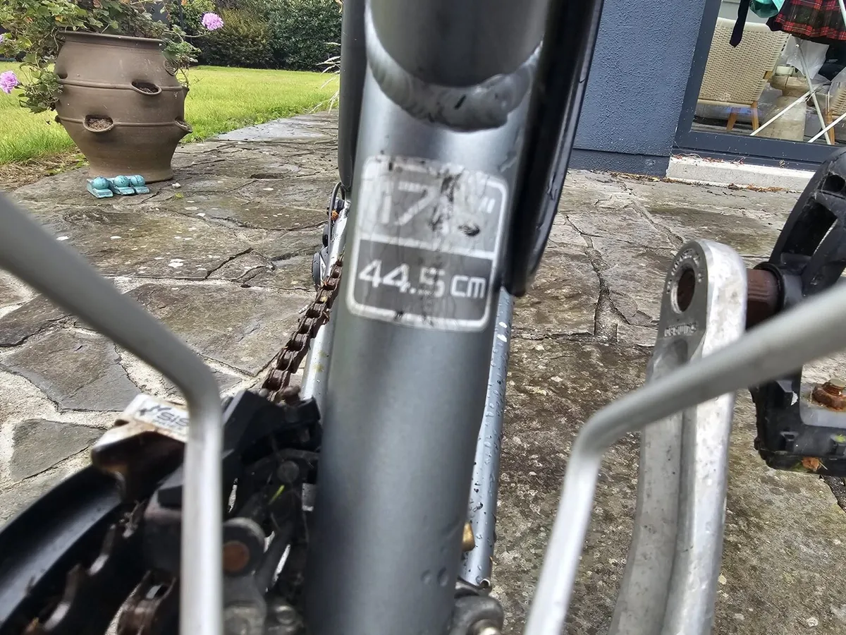 Ladies Bike - Image 2